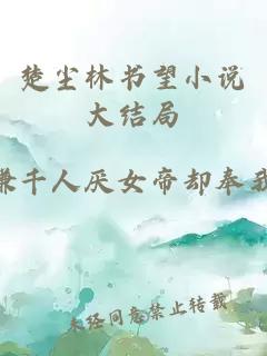 楚尘林书望小说大结局