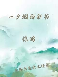 一夕烟雨新书